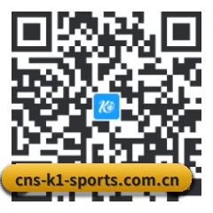 iOS 苹果生态原生版 二维码